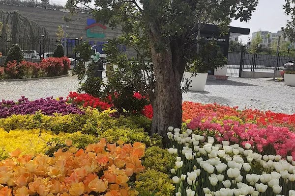 Pakistan Başkonsolosluğu Istanbul - Resim 19