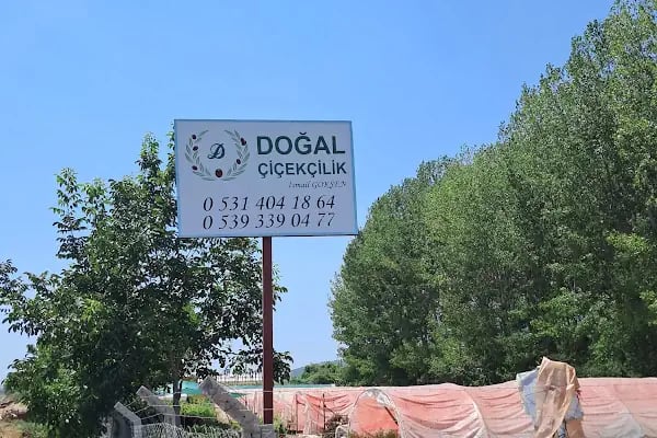Doğal Çiçekçilik - Resim 18