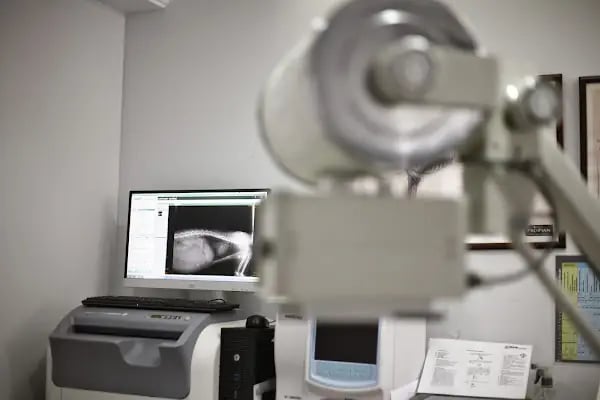 Apex Veteriner Kliniği - Resim 10