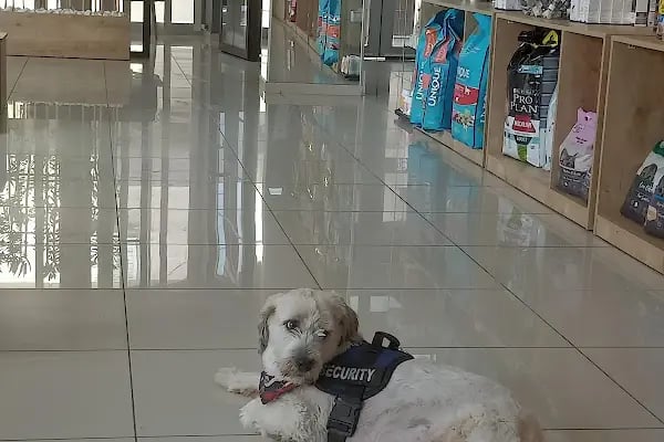 Apex Veteriner Kliniği - Resim 16