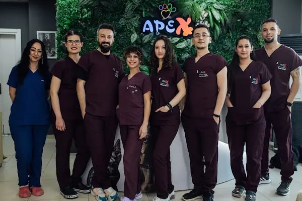 Apex Veteriner Kliniği - Resim 1