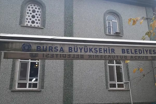 Kurtul Köyü Camii - Resim 8