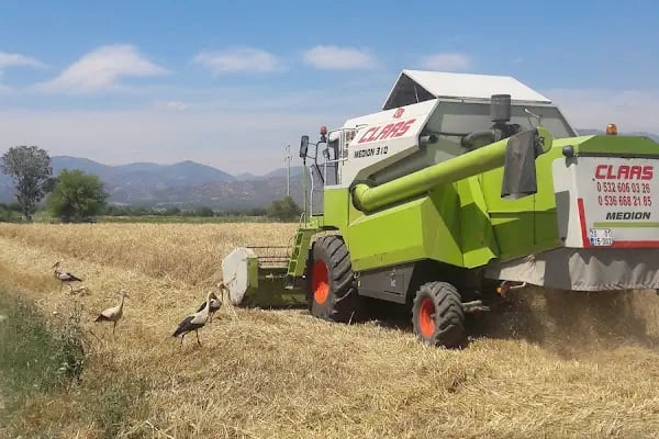 Petline-şah Petrol - Resim 1
