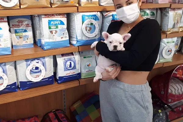 Asyam Veteriner Kliniği - Resim 10