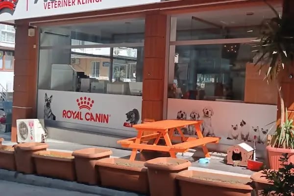 Asyam Veteriner Kliniği - Resim 3