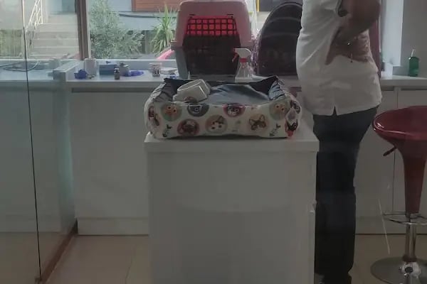 Asyam Veteriner Kliniği - Resim 19