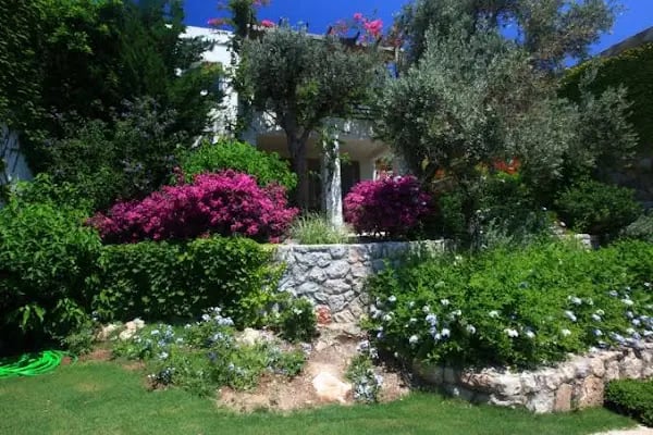MACAKIZI BODRUM - Resim 16