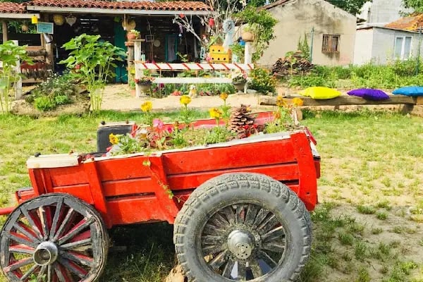 Rüzgarlı Bahçe At Çiftliği - Resim 2