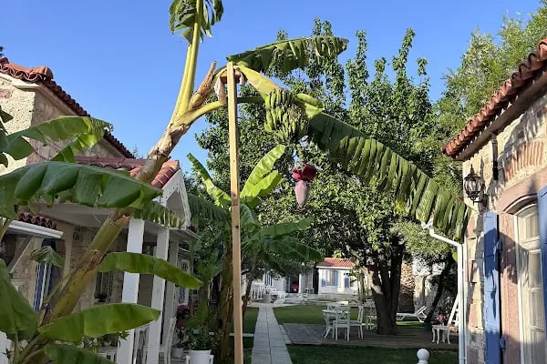 Lola 38 Hotel - Resim 13