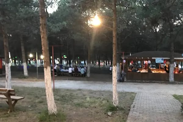 Dağ Evi Mangal Kuzu Çevirme - Resim 7