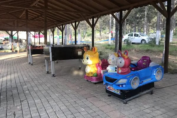 Dağ Evi Mangal Kuzu Çevirme - Resim 11