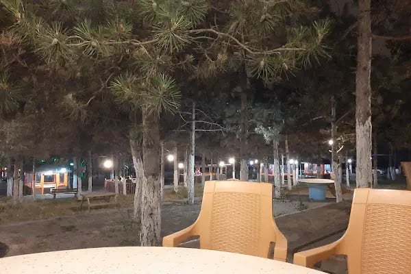 Dağ Evi Mangal Kuzu Çevirme - Resim 15