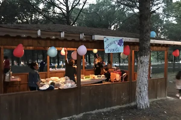 Dağ Evi Mangal Kuzu Çevirme - Resim 1