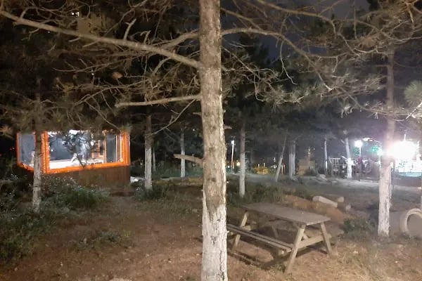 Dağ Evi Mangal Kuzu Çevirme - Resim 5