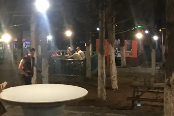 Dağ Evi Mangal Kuzu Çevirme - Resim 12