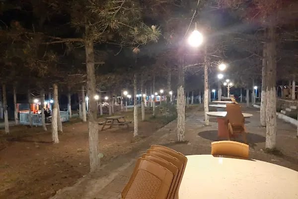 Dağ Evi Mangal Kuzu Çevirme - Resim 4