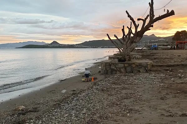 May Ajans Bodrum - Reklam Ajansı - Sosyal Medya Yönetimi - Web Tasarım - Kurumsal Kimlik - Resim 8