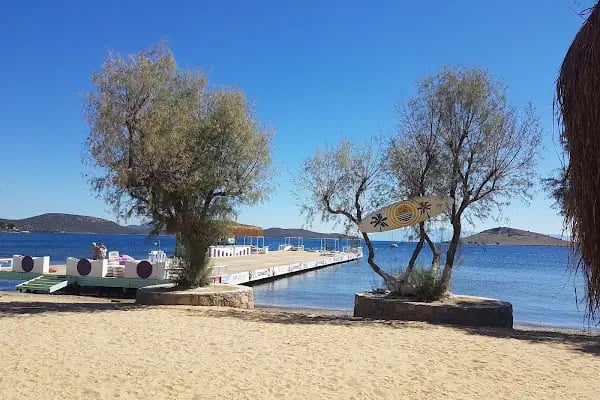 May Ajans Bodrum - Reklam Ajansı - Sosyal Medya Yönetimi - Web Tasarım - Kurumsal Kimlik - Resim 6