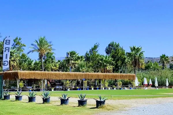 May Ajans Bodrum - Reklam Ajansı - Sosyal Medya Yönetimi - Web Tasarım - Kurumsal Kimlik - Resim 16