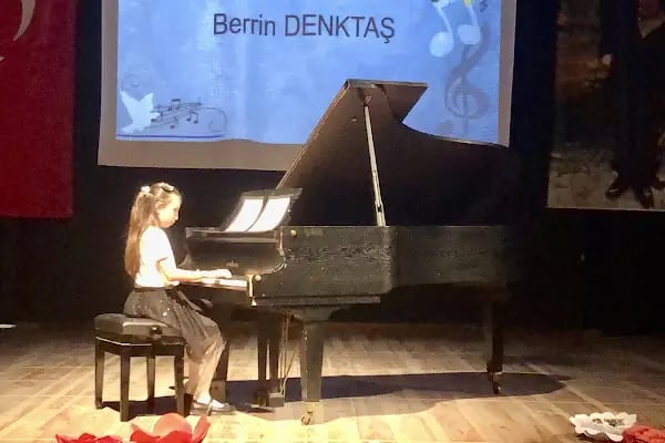 Işılay Saygın Güzel Sanatlar Lisesi - Resim 5
