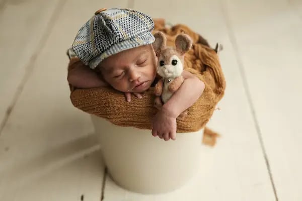 Mini Baby Studio - Resim 9