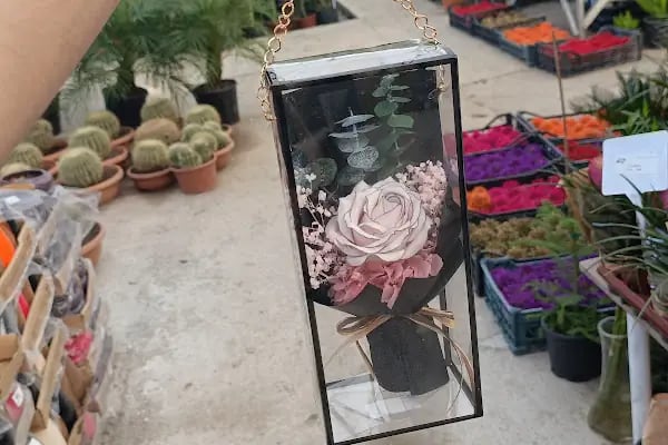 Bayındır Yeşil Ege Peyzaj çiçekçilik ltd şti - Resim 2