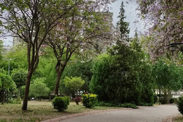 Hayal Park Yüzme Havuzu - Resim 19