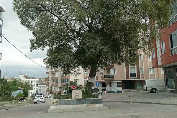 Çitlenbik (Hasan) Dede türbesi - Resim 1