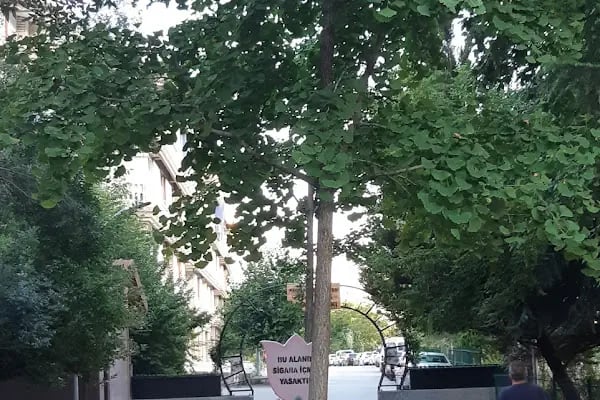 Levent Lunapark - Resim 14