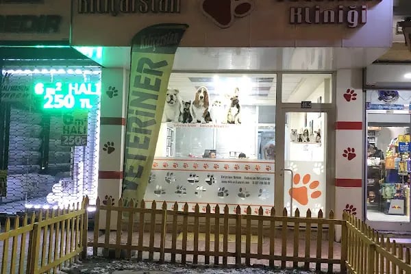 Kılıçarslan Veteriner Kliniği - Resim 19