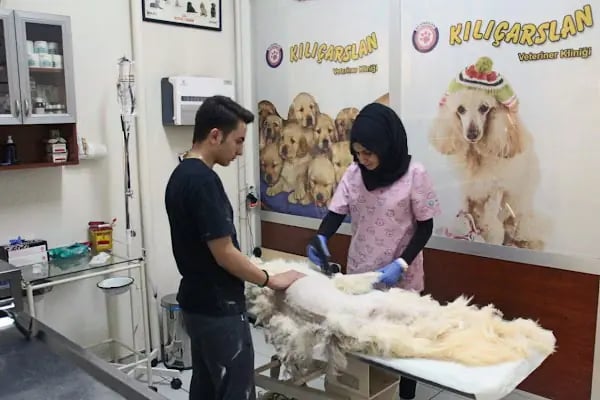 Kılıçarslan Veteriner Kliniği - Resim 14