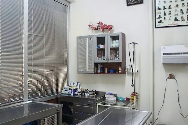 Kılıçarslan Veteriner Kliniği - Resim 9