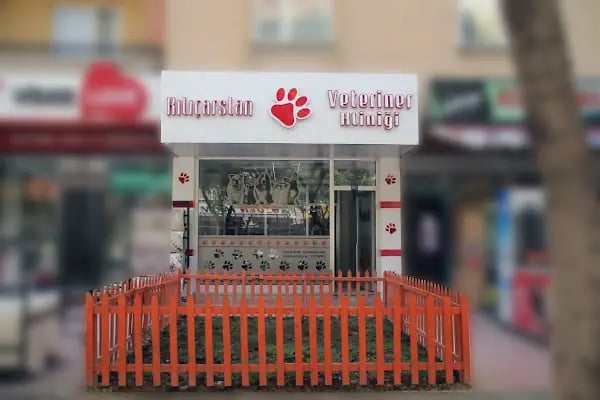 Kılıçarslan Veteriner Kliniği - Resim 15