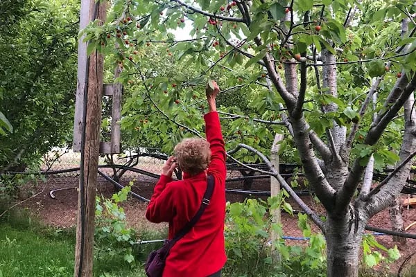 Çiçektepe Halka Açık Yüzme Havuzu Ve Acı Su Tesisi - Resim 11