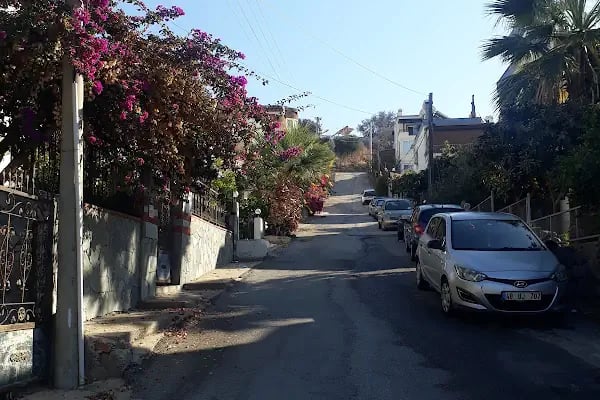 Halı Saha - Resim 14