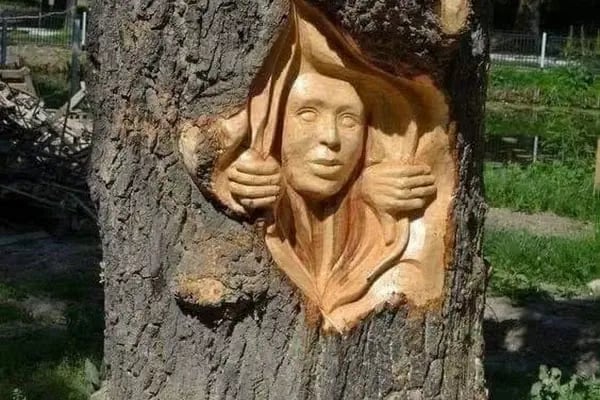 Yeşilbayır Kapalı Semt Pazarı - Resim 8