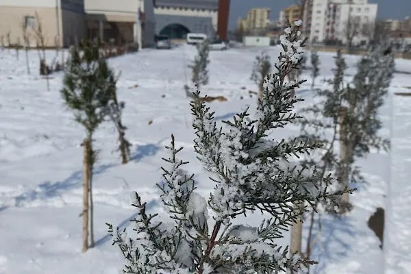 Yenişehir Gençlik Merkezi - Resim 10
