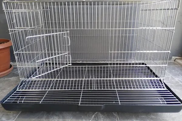 Bursa Cihan Akvaryum & Petshop - Resim 7