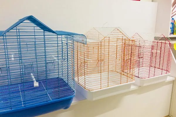 Bursa Cihan Akvaryum & Petshop - Resim 13