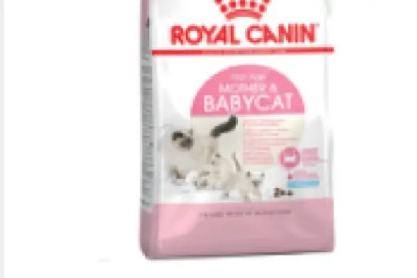 Bursa Cihan Akvaryum & Petshop - Resim 15