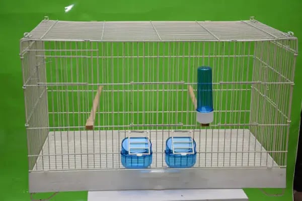 Bursa Cihan Akvaryum & Petshop - Resim 16