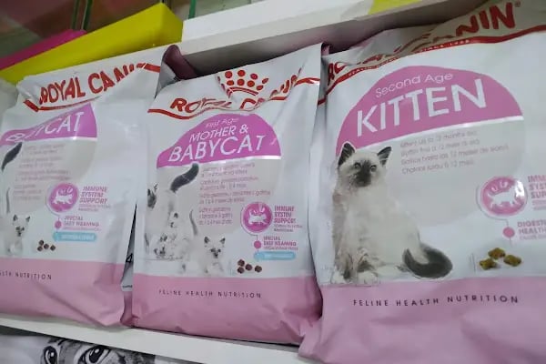 Bursa Cihan Akvaryum & Petshop - Resim 9