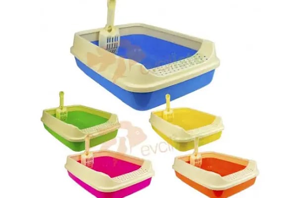 Bursa Cihan Akvaryum & Petshop - Resim 12