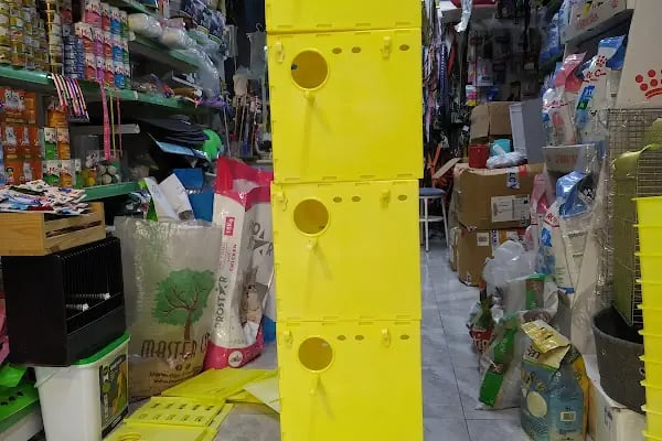 Bursa Cihan Akvaryum & Petshop - Resim 20
