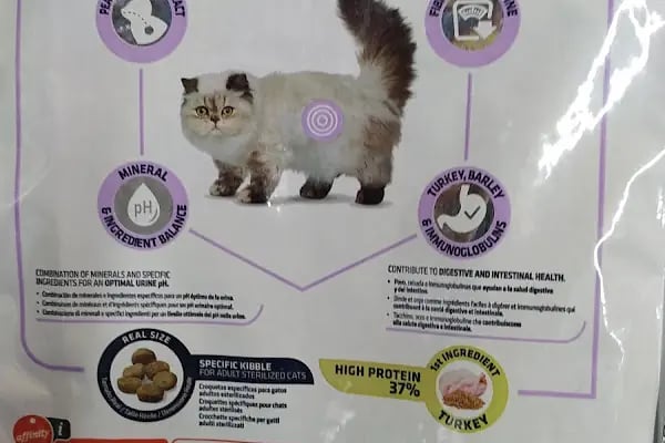 Bursa Cihan Akvaryum & Petshop - Resim 3