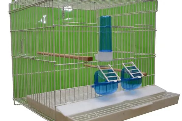 Bursa Cihan Akvaryum & Petshop - Resim 6