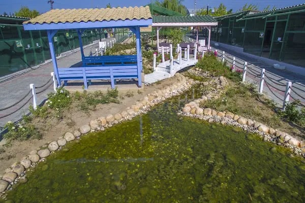 Tekirdağ Çorlu Hayvanat Bahçesi - Resim 9