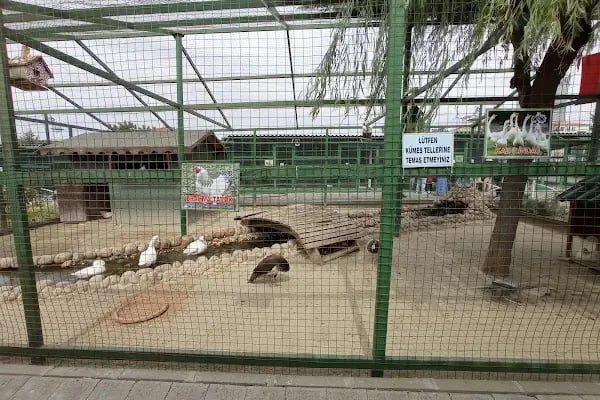 Tekirdağ Çorlu Hayvanat Bahçesi - Resim 3
