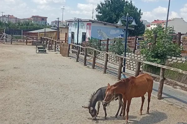 Tekirdağ Çorlu Hayvanat Bahçesi - Resim 7