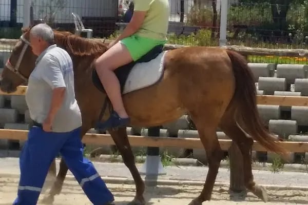 Tekirdağ Çorlu Hayvanat Bahçesi - Resim 19